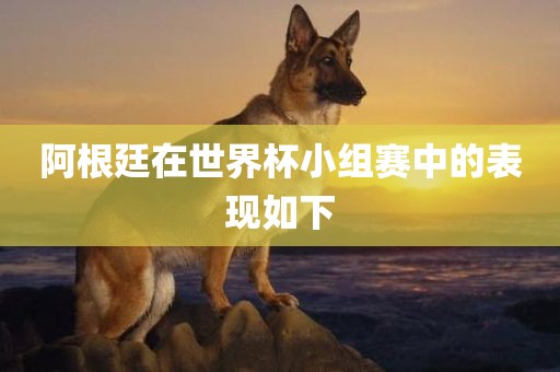 阿根廷在世界杯小组赛中的表现如下