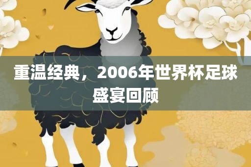 重温经典，2006年世界杯足球眉山市正发家政服务有限公司盛宴回顾