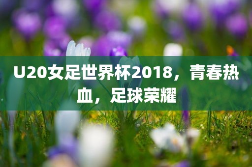 U20女足世界杯2018，青春热血，足球荣耀