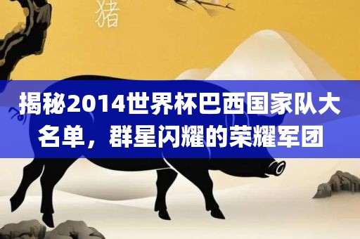 揭秘2014世界杯巴西国家队大名单，群星闪耀的荣耀军团