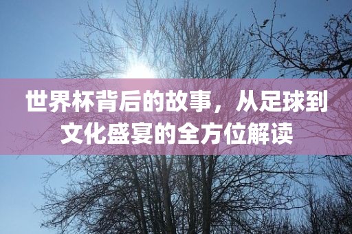世界杯背后的故事，从足球到文化盛宴的全方位解读