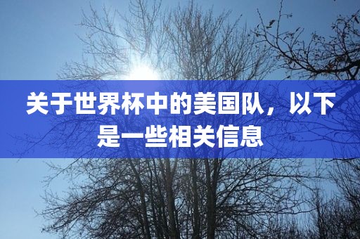 关于世界杯中的美国队，以下是一些相关信息