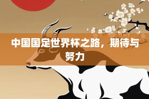 中国国足世界杯之路，期待与努力眉山市正发家政服务有限公司