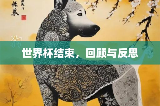 世界杯结束，回顾与反思