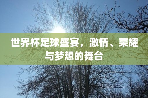 世界杯足球盛宴，激情、荣耀与梦想的舞台