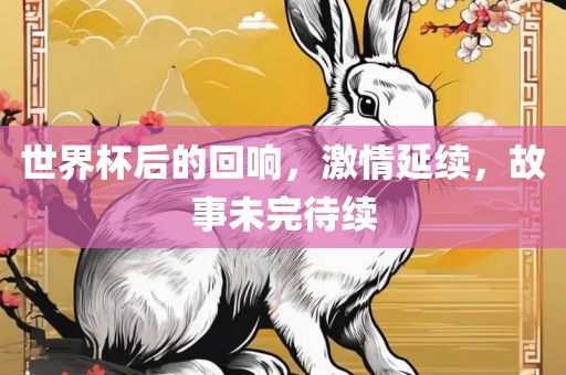 世界杯后的回响，激情延续，故事未完待续