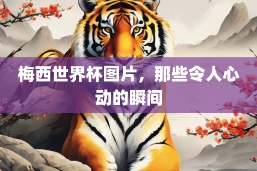 梅西世界杯图片，那些令人心动的瞬间眉山市正发家政服务有限公司