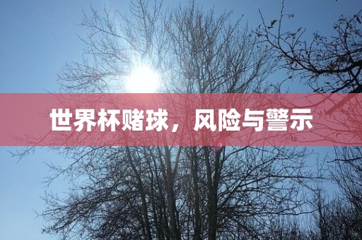 世界杯赌球，风险与警示