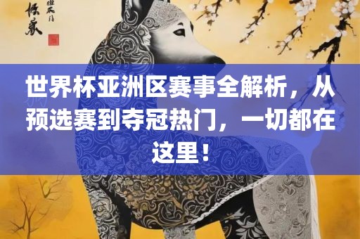 世界杯亚洲区赛事全解析，从预选赛到夺冠热门，一切都在这里！