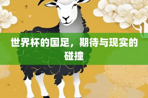 世界杯的国足，期待与现实的碰撞