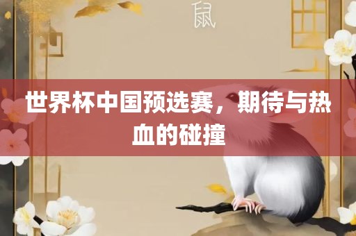 世界杯中国预选赛，期待与热血的碰撞
