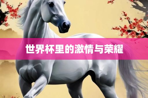 世界杯里的激情与荣耀