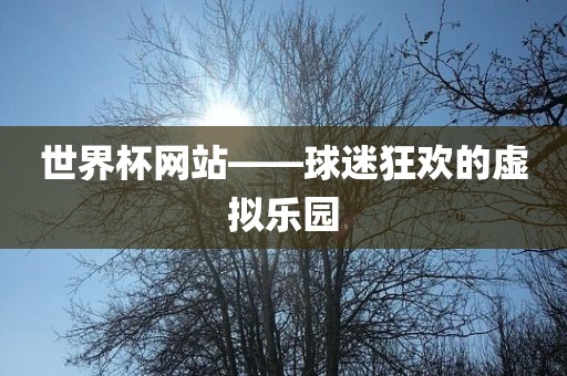 世界杯网站——球迷狂欢的虚拟乐眉山市正发家政服务有限公司园