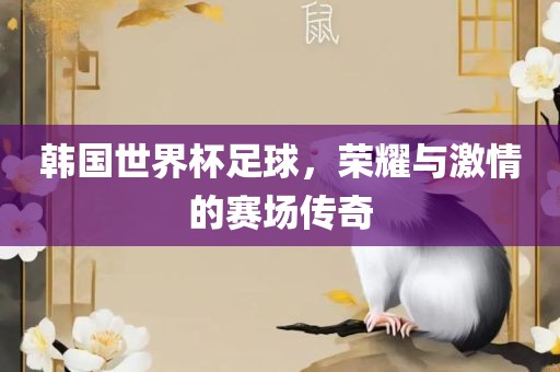 韩国世界杯足球，荣耀与激情的赛场传奇