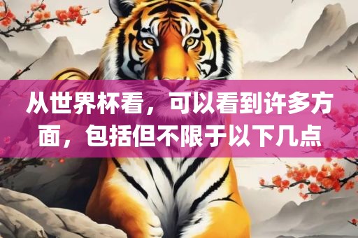 从世界杯看，可以看到许多方面，包括但不限于以下几点