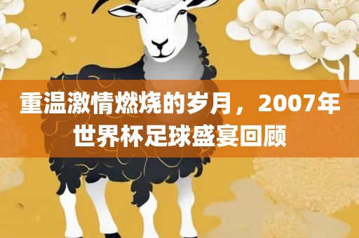 重温激情燃烧的岁月，2007年世界杯足球盛宴回顾