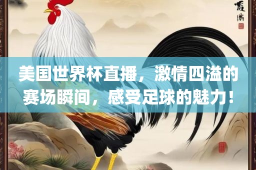 美国世界杯直播，激情四溢的赛场瞬间，感受足球的魅力！