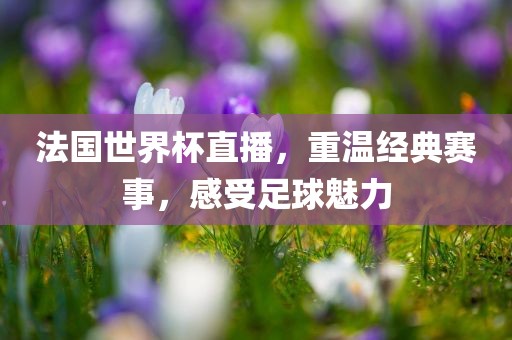 法国世界杯直播，重温经典赛事，感受足球魅力