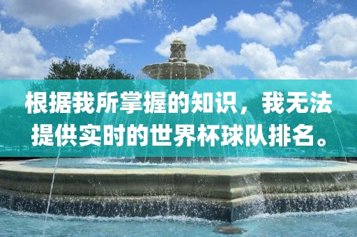 根据我所掌握的知识，我无法提供实时的世界杯球队排名。