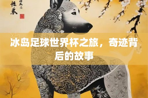 冰岛足球世界杯之旅，奇迹背后的故事