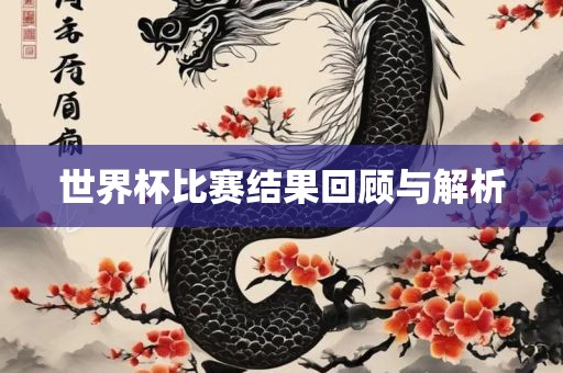 世界杯比赛结果回顾与解析