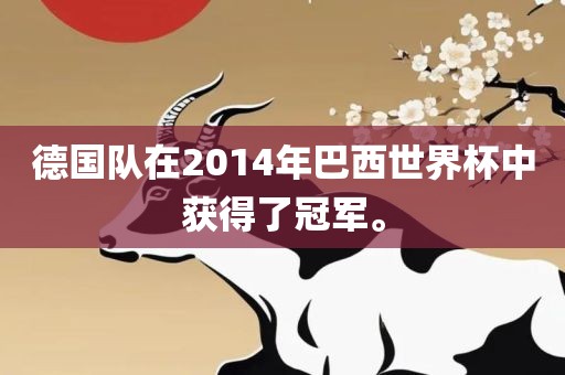 德国队在2014年巴西世界杯中获得了冠军。