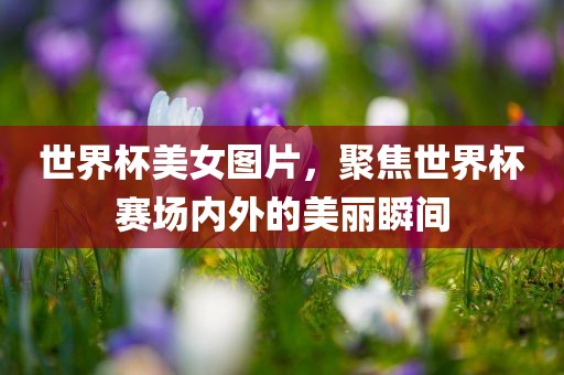 世界杯美女图片，聚焦世界杯赛场内外的美丽瞬间