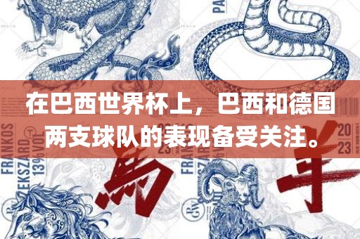 在巴西世界杯上，巴西和德国两支球队的表现备受关注。