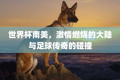 世界杯南美，激情燃烧的大陆与足球传奇的碰撞
