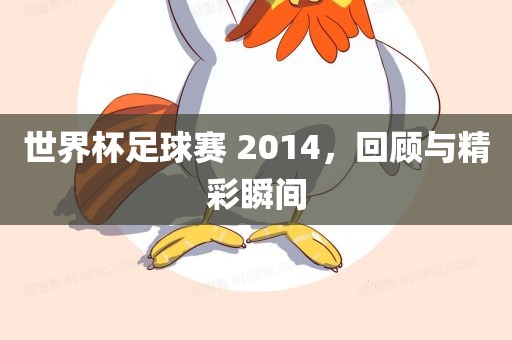 世界杯足球赛 2014，回顾与精彩瞬间