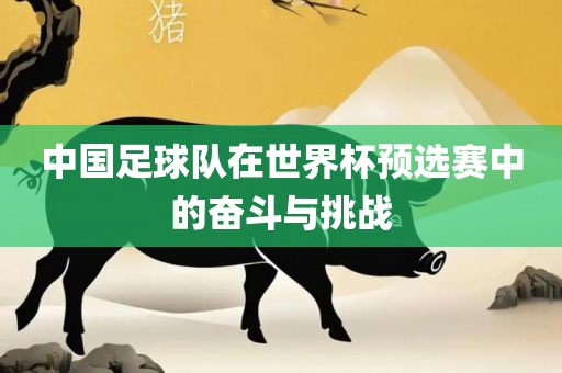 中国足球队在世界杯预选赛中的奋斗与挑战