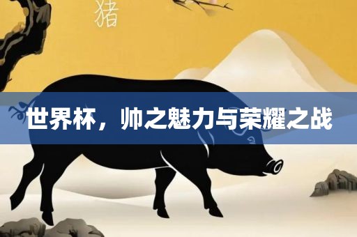 世界杯，帅之魅力与荣耀之战