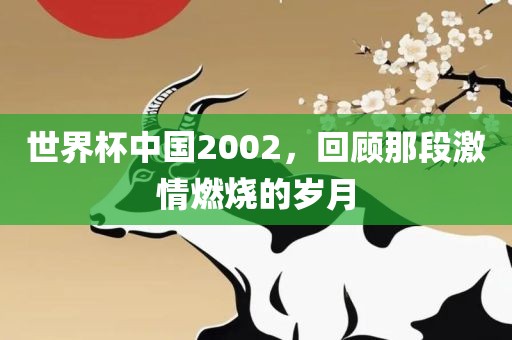 世界杯中国2002，回顾那段激情燃烧的岁月