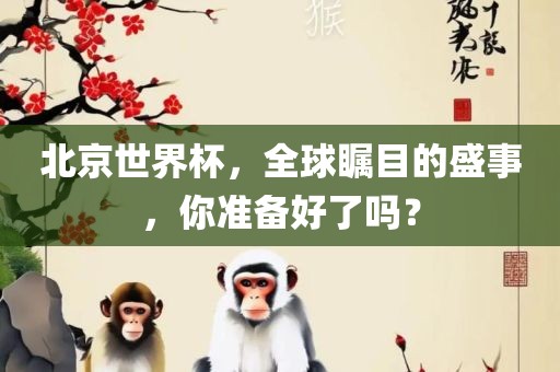 北京世界杯，全球瞩目的盛事，你准备好了吗？