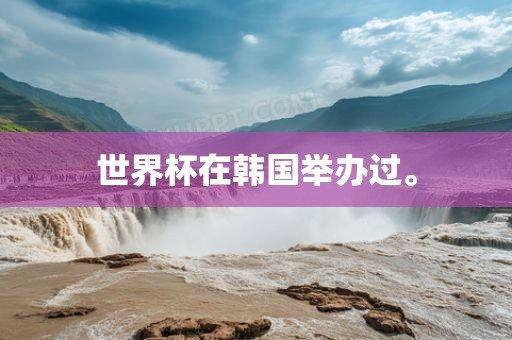 世界杯在韩国举办过。