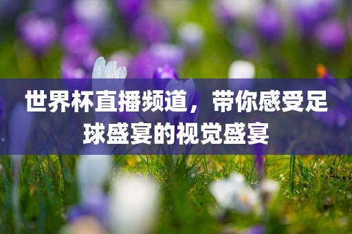 世界杯直播频道，带你感受足球盛宴的视觉盛宴