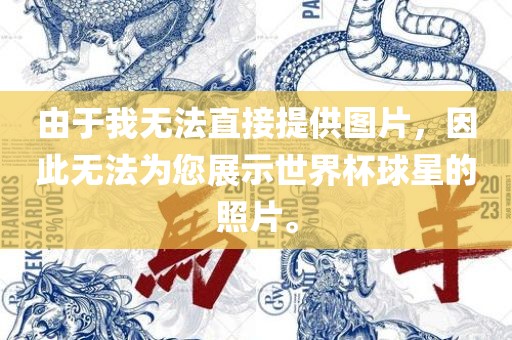 由于我无法直接提供图片，因此无法为您展示世界杯球星的照片。