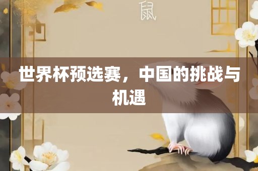 世界杯预选赛，中国的挑战与机遇