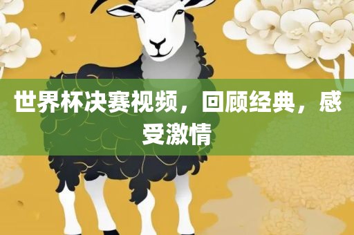 世界杯决赛视频，回顾经典，感受激情