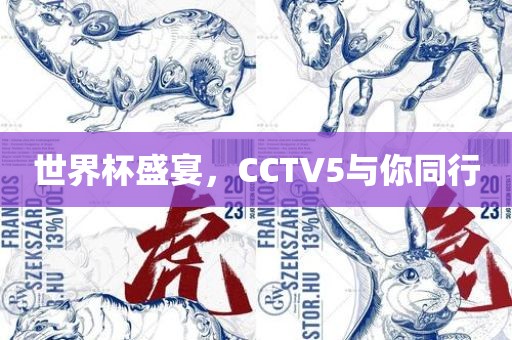 世界杯盛宴，CCTV5与你同行