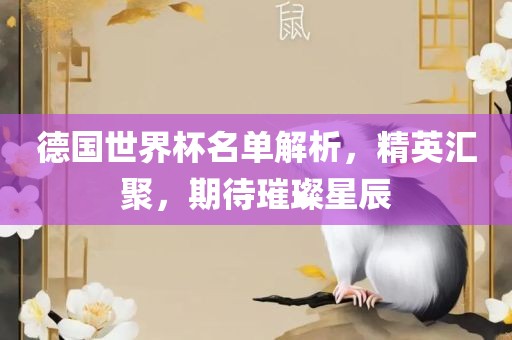 德国世界杯名单解析，精英汇聚，期待璀璨星辰