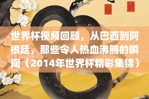 世界杯视频回顾，从巴西到阿根廷，那些令人热血沸腾的瞬间（2014年世界杯精彩集锦）