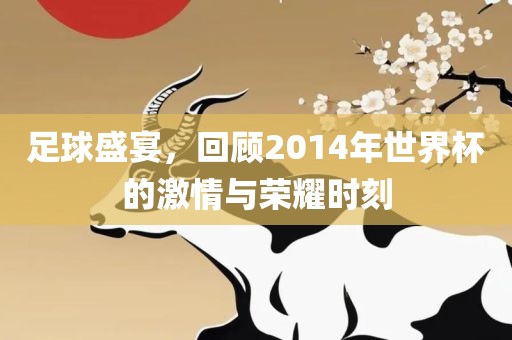 足球盛宴，回顾2014年世界杯的激情与荣耀时刻