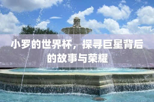 小罗的世界杯，探寻巨星背后的故事与荣耀