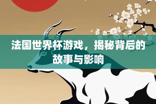 法国世界杯游戏，揭秘背后的故事与影响