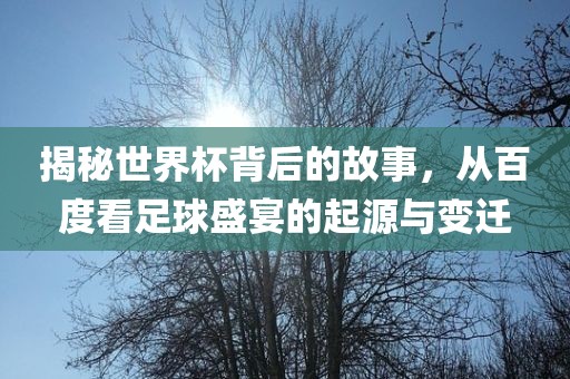 揭秘世界杯背后的故事，从百度看足球盛宴的起源与变迁