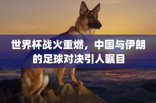 世界杯战火重燃，中国与伊朗的足球对决引人瞩目