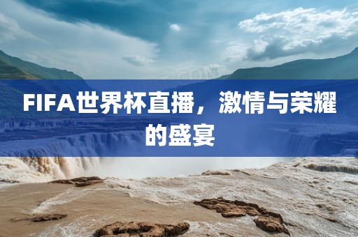 FIFA世界杯直播，激情与荣耀的盛宴