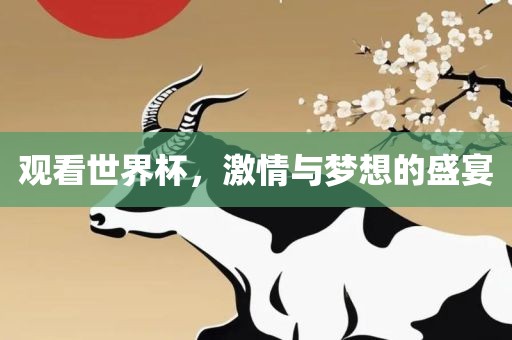 观看世界杯，激情与梦想的盛宴