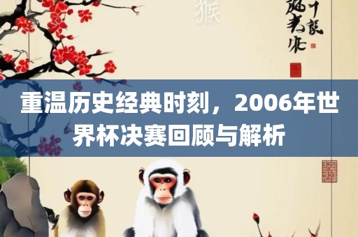 重温历史经典时刻，2006年世界杯决赛回顾与解析